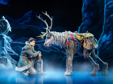 Frozen the Musical