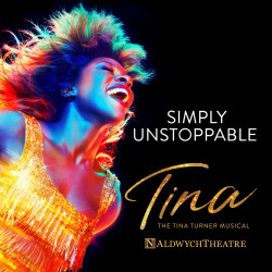 Tina The Musical